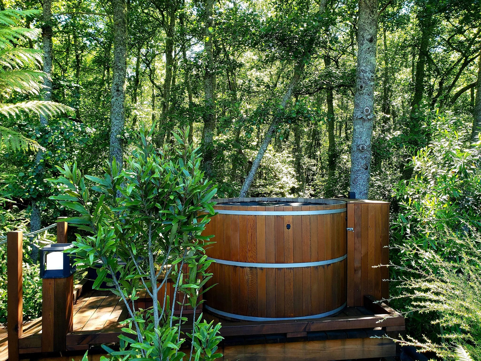 A hot tub in the middle of the forest