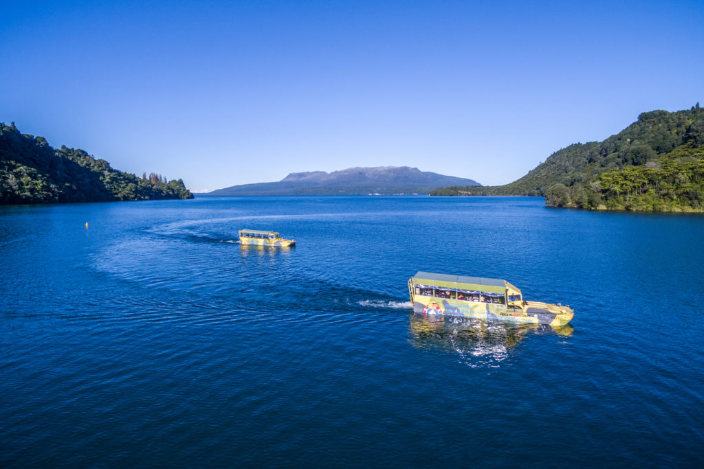 Rotorua duck tours amphibious vehicles on the lake